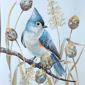 ORIGINAL Aquarell Malerei, Vogel Wand Kunst, Tuft Meise, Meise Malerei, Vogel Liebhaber Geschenk, Natur Liebhaber Geschenk, Vogelbeobachter Geschenk