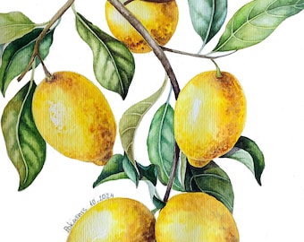 Lemon original watercolor painting, lemon fruits wall art, vegetables artwork, botanical artwork, kitchen fine art, citrus painting