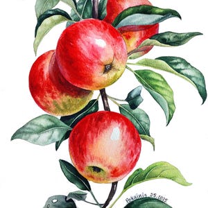 Dipinto ad acquerello ORIGINALE, pittura murale di mele, dipinto di mele rosse, natura morta di frutta, frutta ad acquerello, opera d'arte di mele, belle arti da cucina