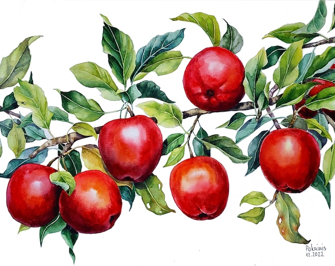 ORIGINAL Watercolor Painting Apple Artwork Red Apple - Etsy