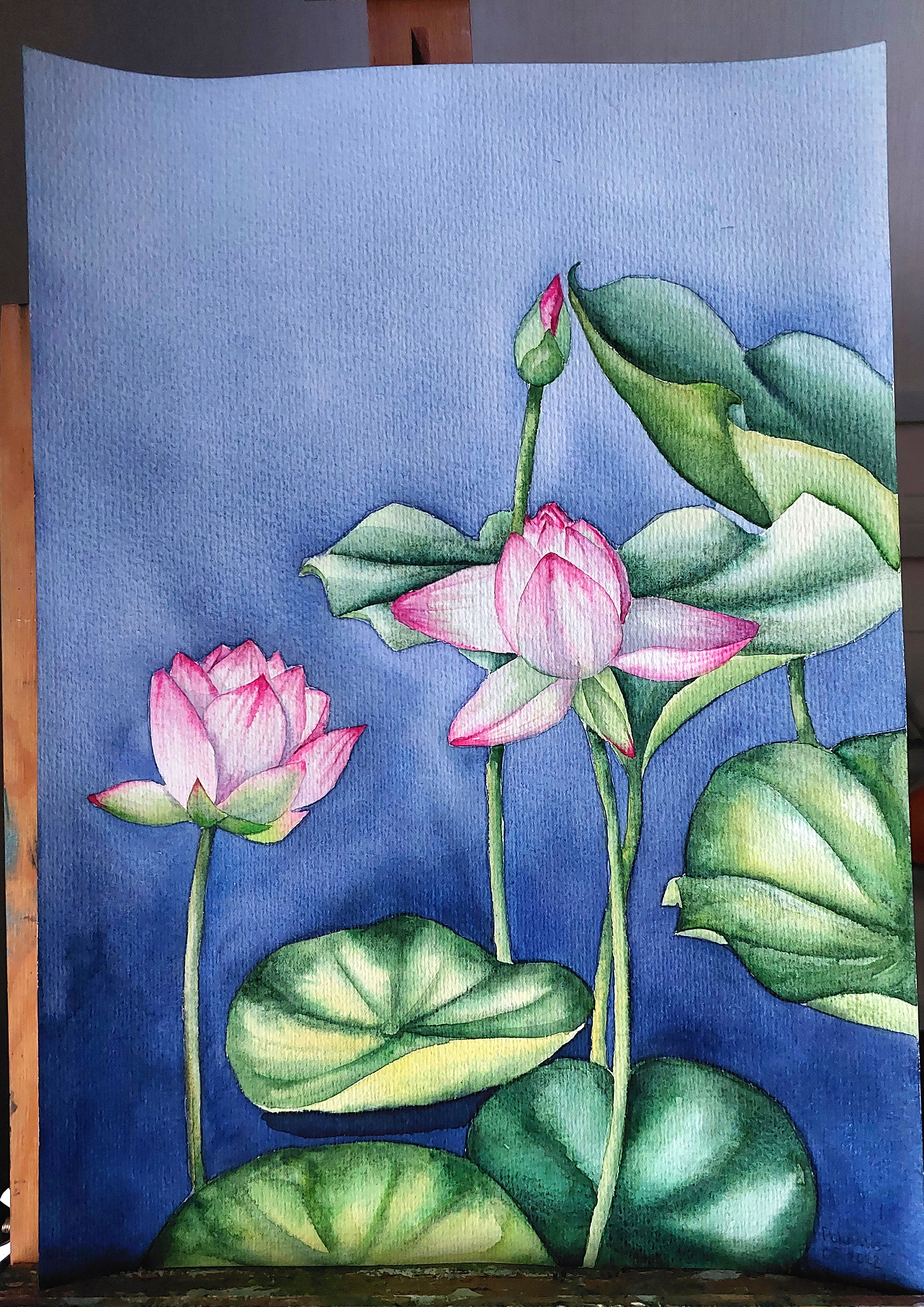 容音原画 水彩画 蓮の花と星空と小鳥さん 値段は※900円です オリジナルの蓮の水彩画、植物画、花のファインアート - Etsy 日本