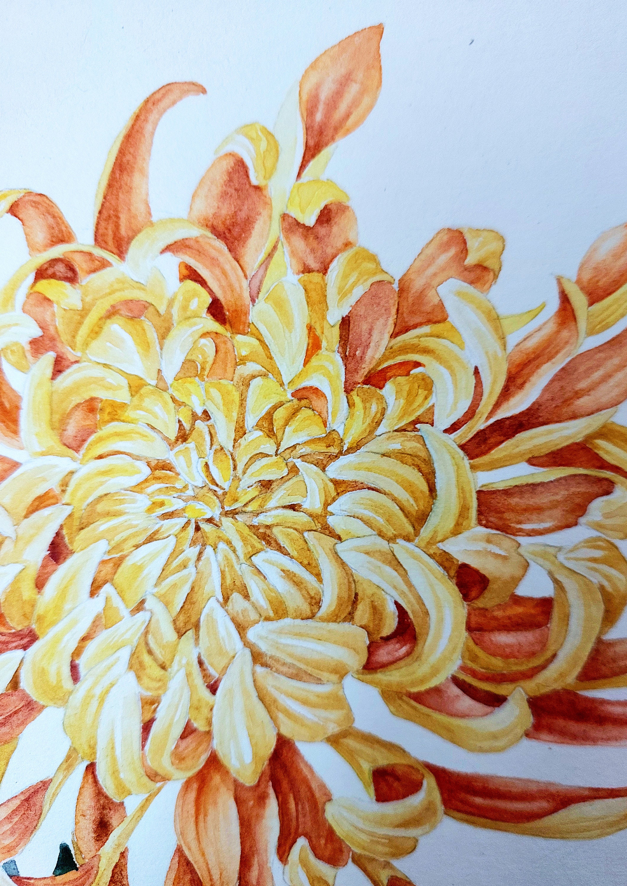 菊の絵画、オリジナルの花の水彩画、8x11 - Etsy 日本