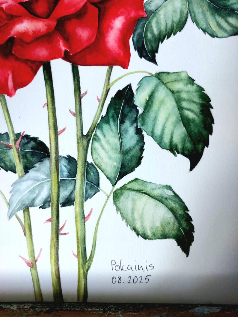 Red Rose Original Watercolor Painting, Rose Wall Art, Floral Still Life ...