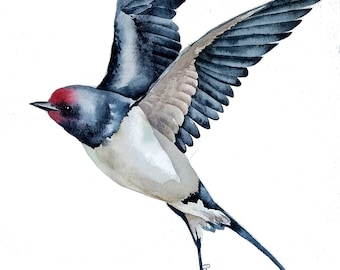 Original Aquarell Rauchschwalbe Gemälde, Vogel Wandkunst, 8x11 Kunstwerk