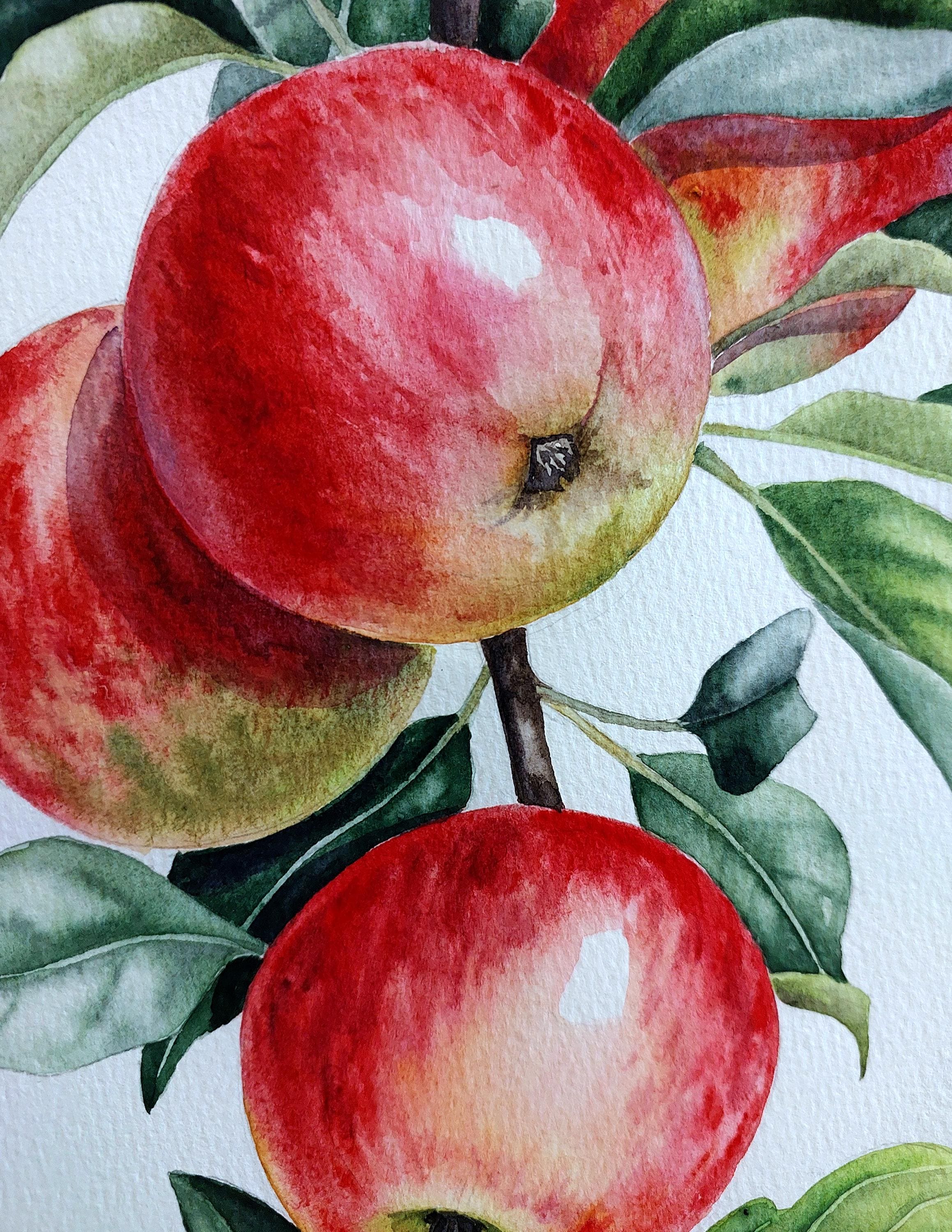オリジナルの水彩画、リンゴの壁アート、赤いリンゴの絵画、フルーツの