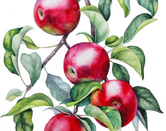 Original Red Apple Watercolor Painting, Botanical Still Life Art