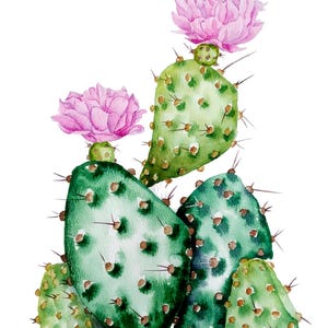 Dipinto originale ad acquerello di cactus, arte murale di cactus in fiore, natura morta floreale, belle arti di fico d'india, opera d'arte botanica da cucina