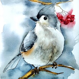 Dipinto originale ad acquerello di un uccello, piccolo dipinto di cincia crestata, regalo per gli amanti degli uccelli, regalo per gli osservatori di uccelli, opera d'arte di uccelli invernali, belle arti della fauna selvatica
