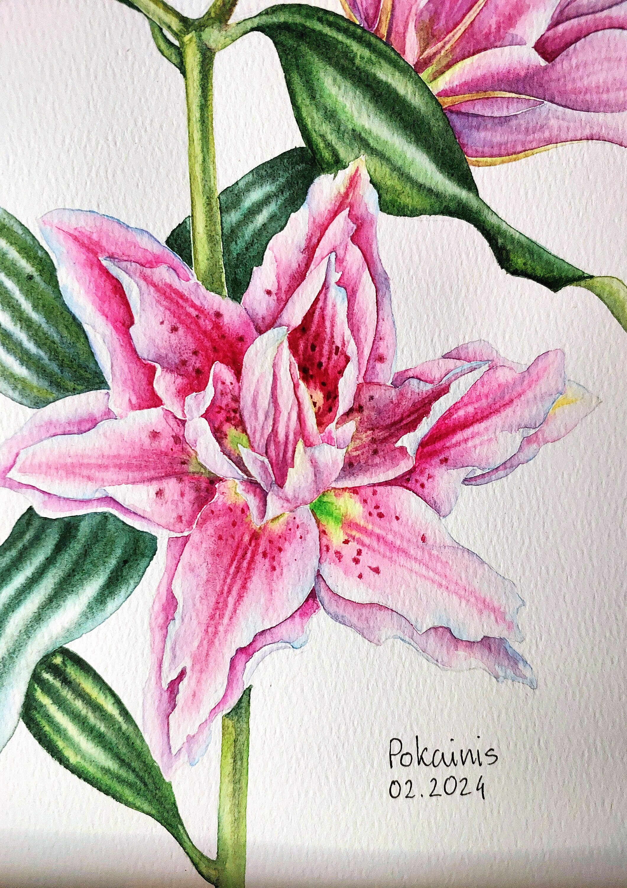 ユリのオリジナル水彩画、花の静物画、花の壁画、ピンクの花の絵画