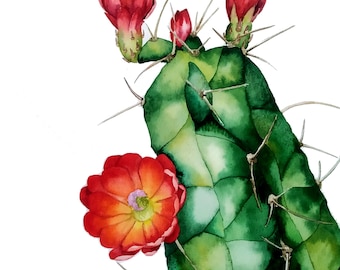 Cactus painting, ORIGINAL watercolor painting, succulent wall art,  blooming cactus, cactus wall art, botanical artwork, colorful cactus