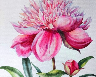 オリジナルの水彩画、ピンクの牡丹、植物画、花の静物画 - Etsy 日本