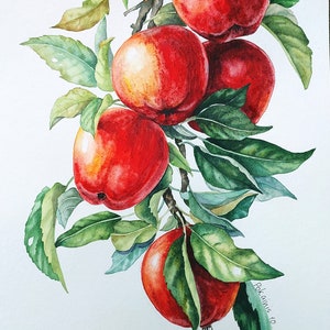 Pittura ad acquerello ORIGINALE, arte della parete di mele, pittura di mele rosse, natura morta di frutta, frutta ad acquerello, pittura di mele, pittura di natura morta