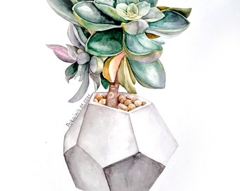 ORIGINAL watercolor painting, succulent wall art, A4 watercolor art, Botanical artwork, minimalist painting, plant in pot wall painting