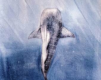 ジンベイザメ - オリジナルの水彩画のサメの絵画 - Etsy 日本