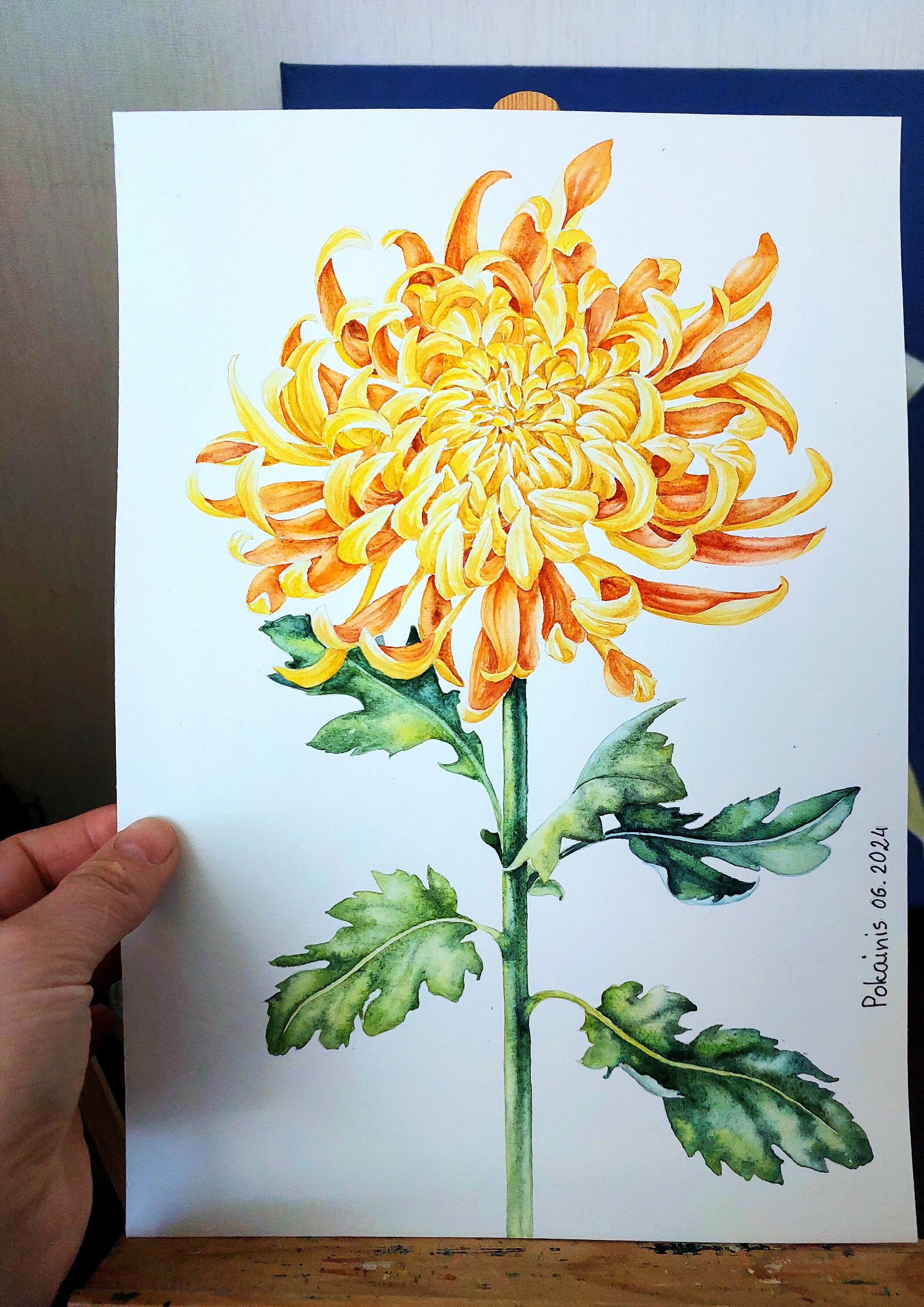 ※水彩画(菊)№215 菊 #chrysanthemum #mum #watercolorflowers #aquarellepainting