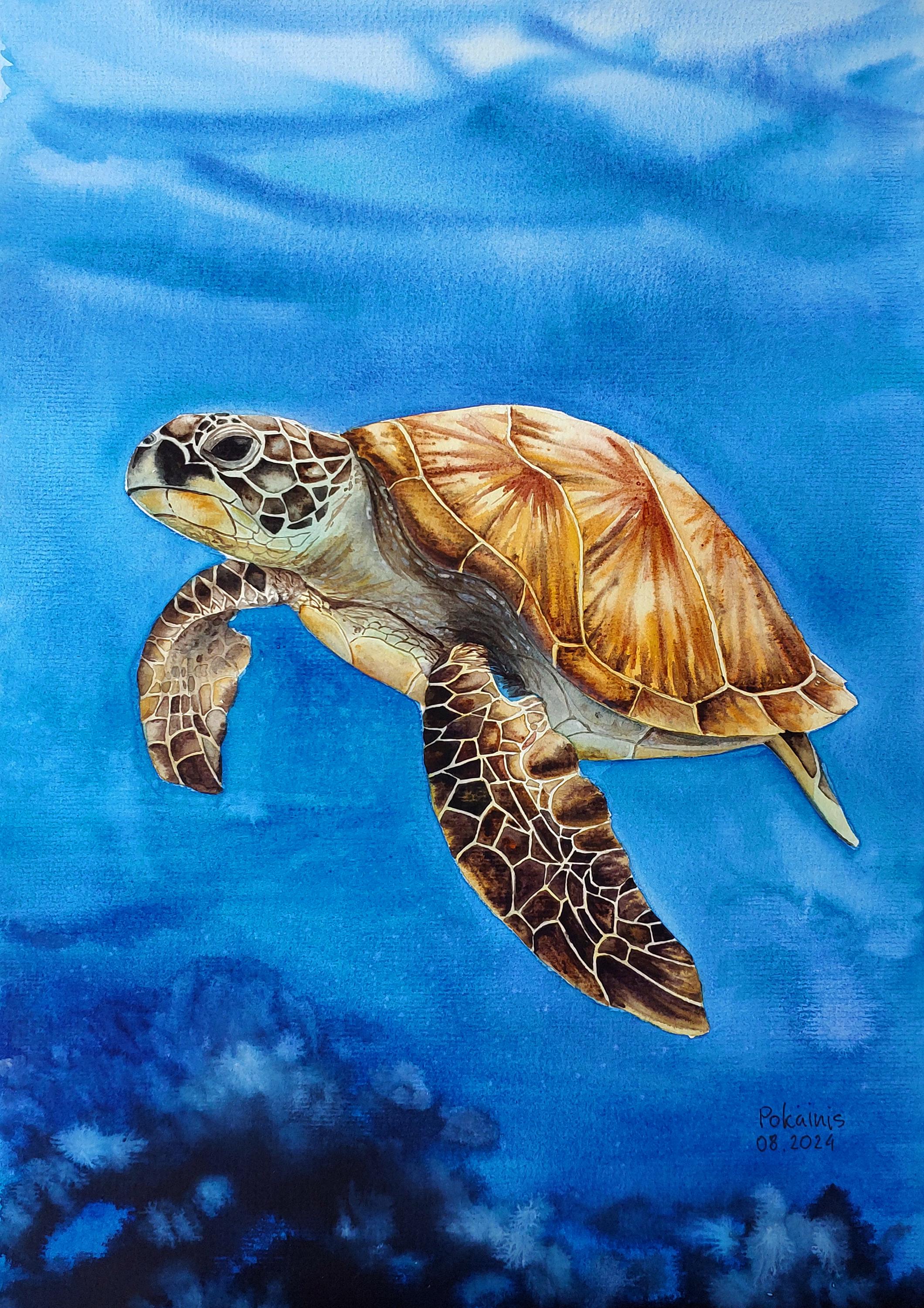 スクラッチアート 完成品 オリジナル 海を散歩する亀 原画 一点物 オリジナル水彩画、ウミガメの絵画、ウミガメの壁アート、海の動物の
