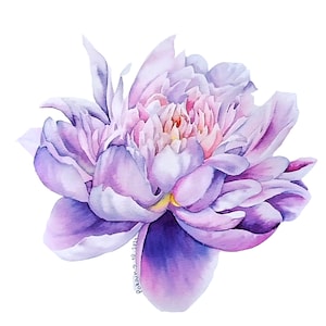 Peony original watercolor painting, single flower fine art, botanical wall art, birth flower gift, floral still life, watercolor flowers art