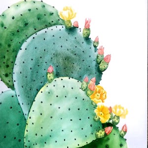Dipinto originale ad acquerello di cactus, opera d'arte botanica, arte murale di fico d'india, cactus in fiore, acquerello originale dell'arizona