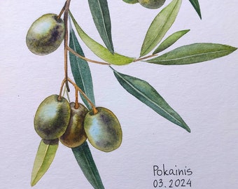 オリーブの枝のオリジナル水彩画、食べ物のイラスト、ギリシャの植物の