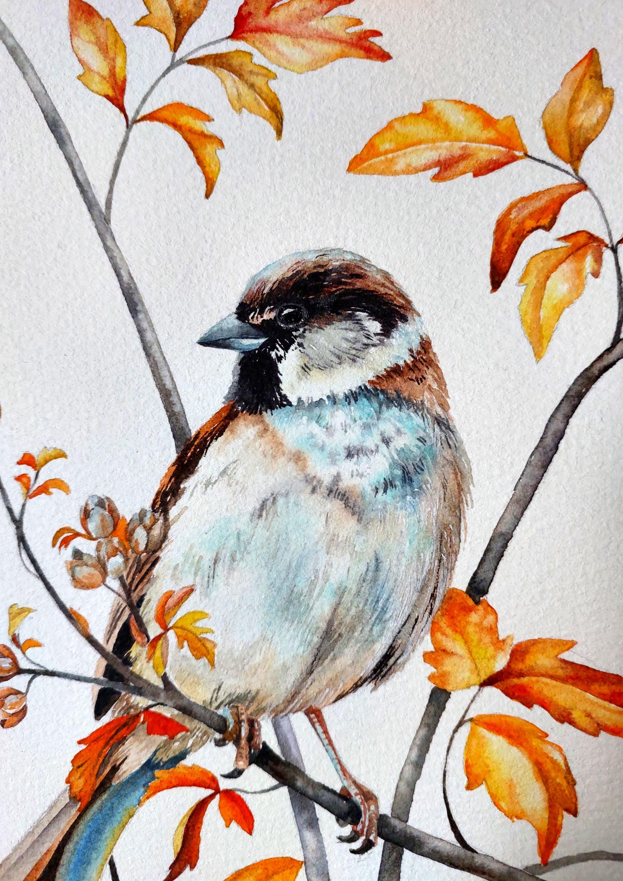 水彩画　透明水彩　スズメと桜　雀　絵画　春の絵　春の鳥　マーメイド紙　アート 51b4f9eAX3L._AC_SY200_QL15_.jpg