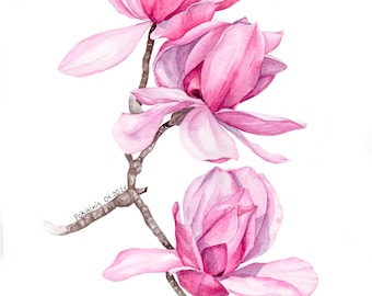 Original artwork, watercolor magnolia, botanical wall art, magnolia painting, floral painting, custom floral painting, magnolia wall art