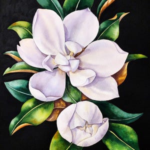 Dipinto ad acquerello originale di magnolia, arte murale botanica, belle arti di magnolia bianca, dipinto di foglie di magnolia, opera d'arte di natura morta floreale