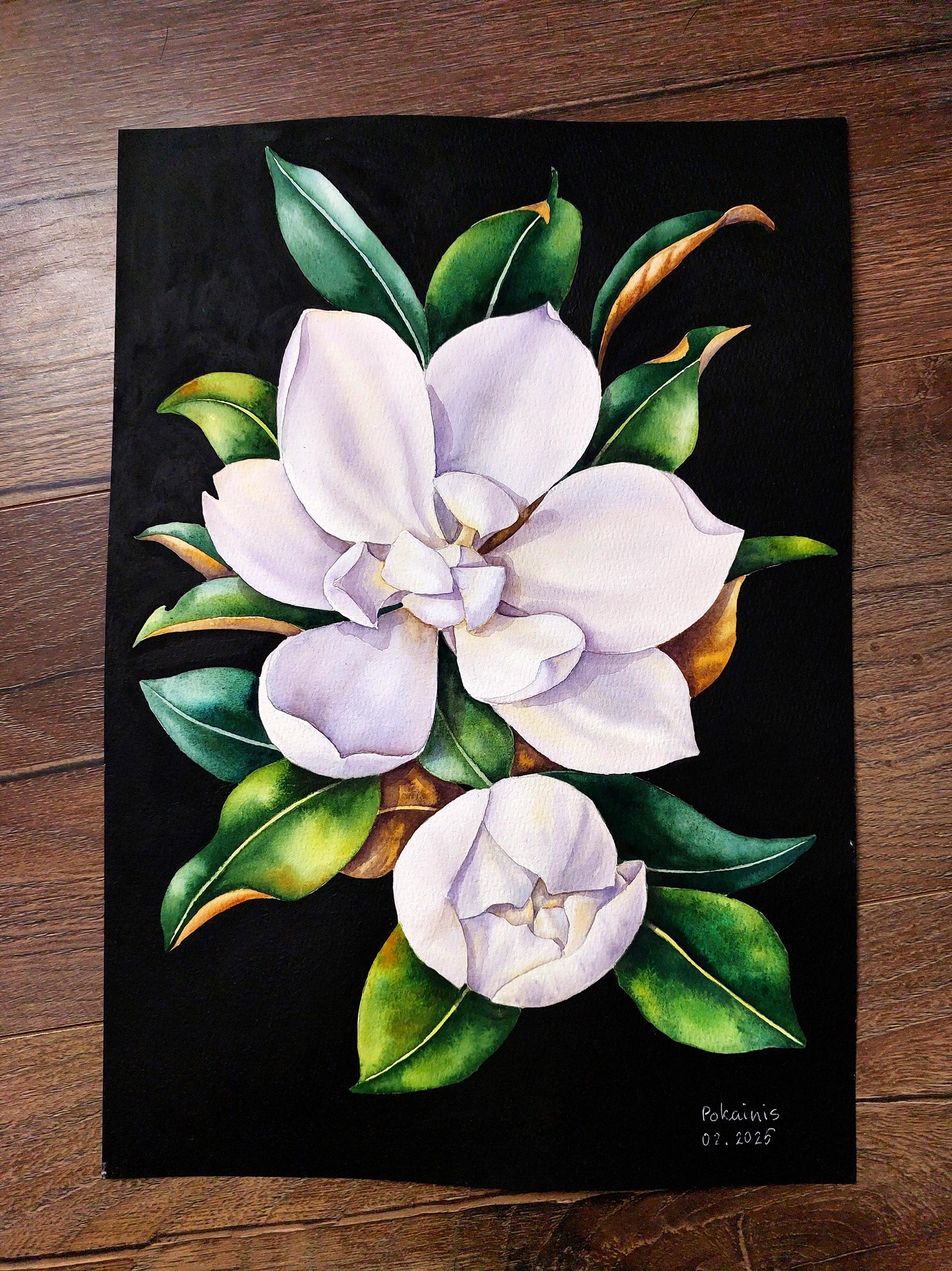 オリジナルのマグノリアの水彩画、植物の壁画、白いマグノリアの美術