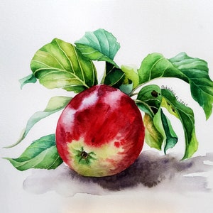 Dipinto originale ad acquerello di mela, arte murale di mela rossa, opera d'arte di natura morta di frutta, belle arti di frutta ad acquerello, arte originale della cucina