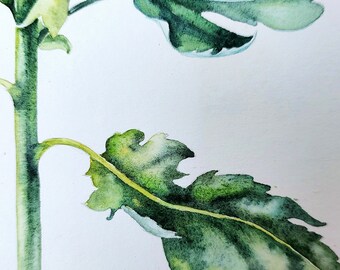 菊の絵画、オリジナルの花の水彩画、8x11 - Etsy 日本