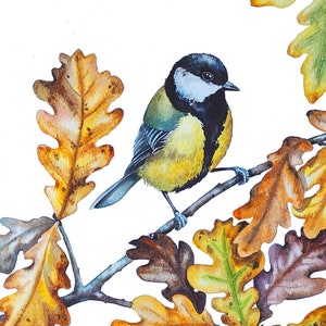 Pintura de acuarela original de carbonero copetudo, arte de pared de carbonero, regalo para amantes de las aves, regalo para observadores de aves, pequeñas obras de arte de aves, bellas artes de cocina