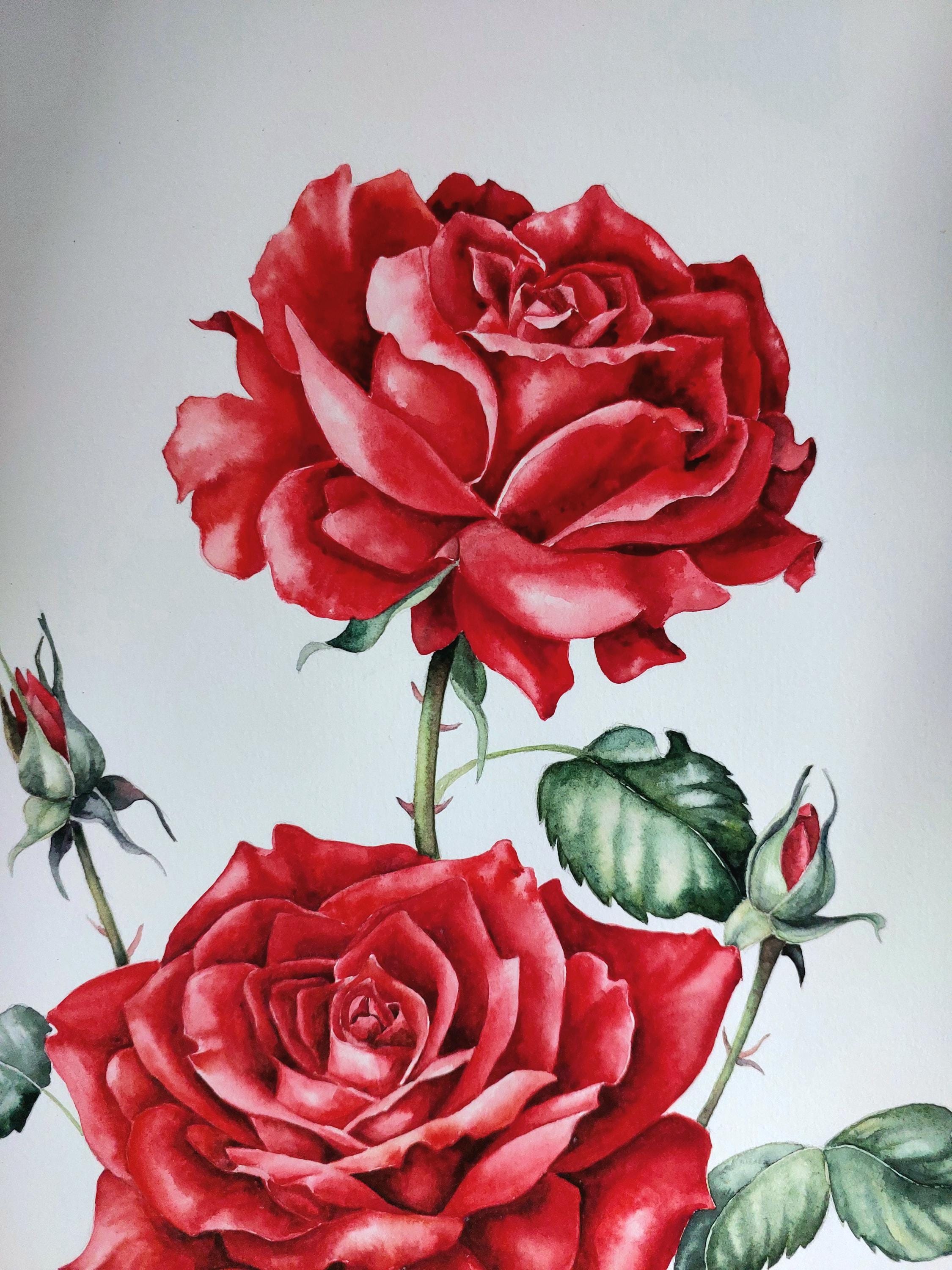 赤いバラのオリジナル水彩画、バラの壁アート、花の静物画、夏の花の