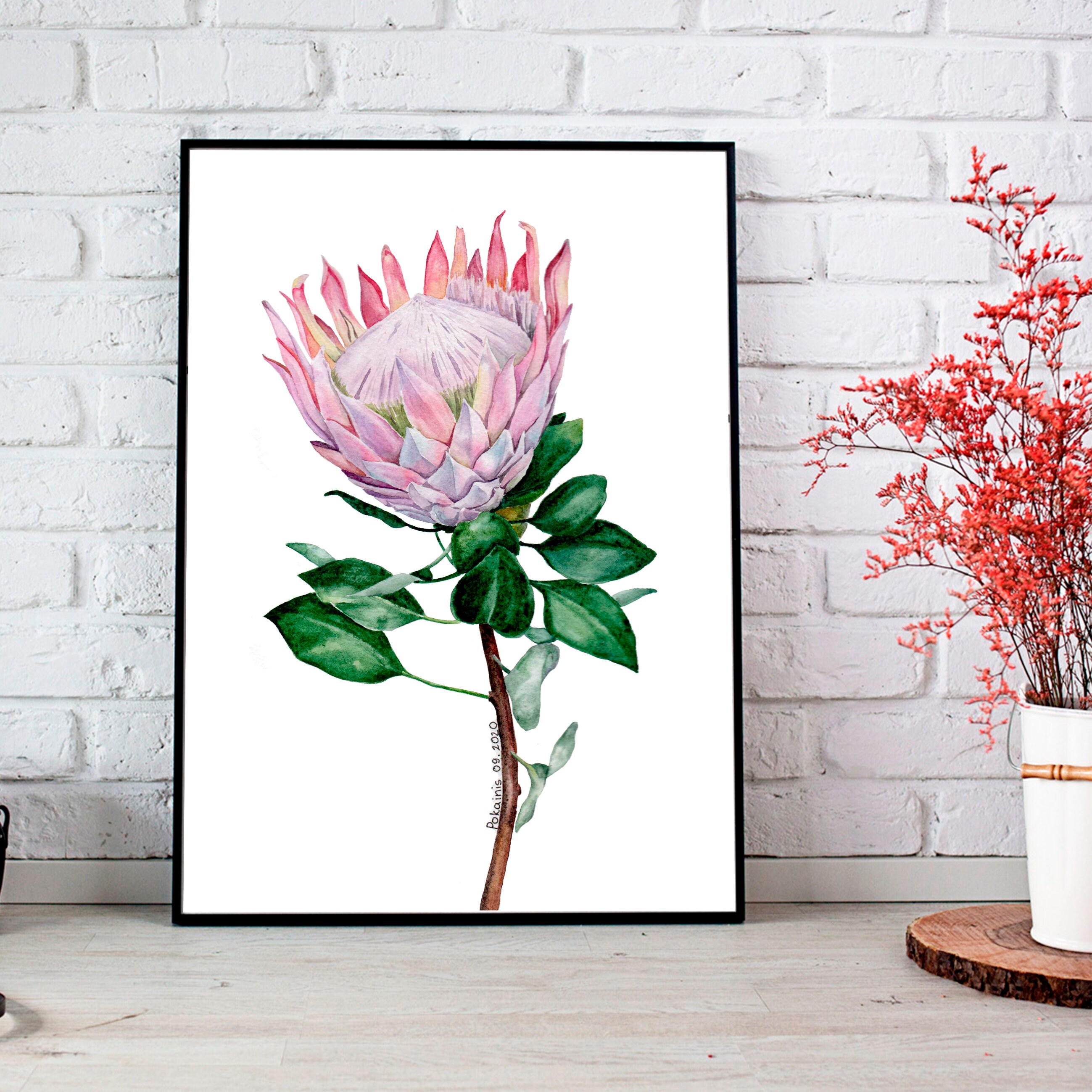 Protea Watercolor Painting Protea Wall Art Botanical Art Etsy Australia