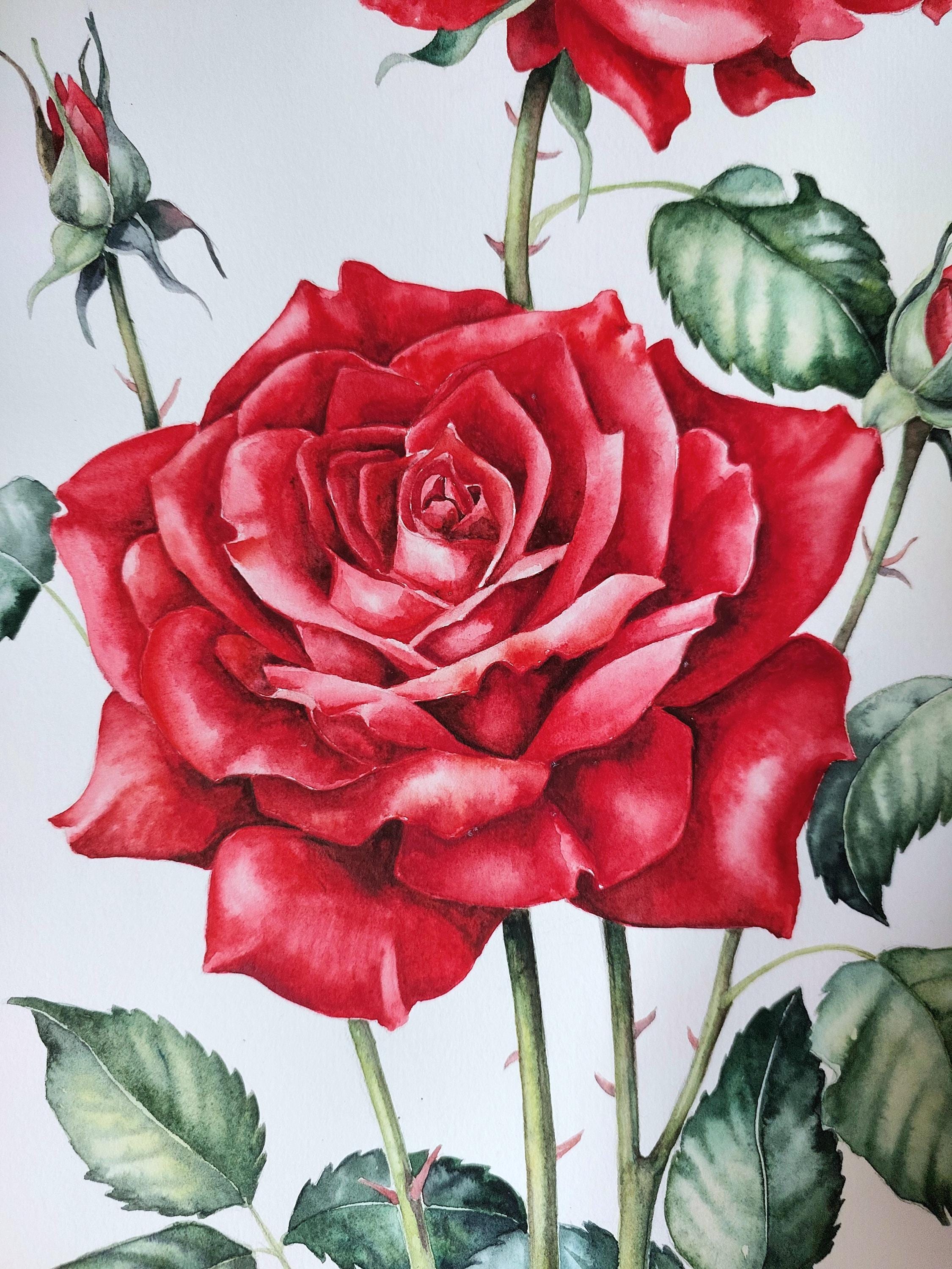 Red Rose Original Watercolor Painting, Rose Wall Art, Floral Still Life ...