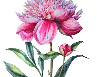 Original watercolor painting, peony painting, pink peony wall art, botanical wall art, botanical painting, peony artwork, spring flower art
