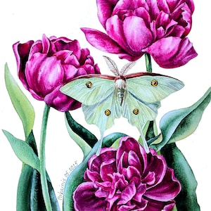 Blumen original Aquarell Malerei, Tulpen und Schmetterlinge Malerei, gothic Blumen Kunstwerk, botanische Wandkunst, Blumen Stillleben feine Kunst