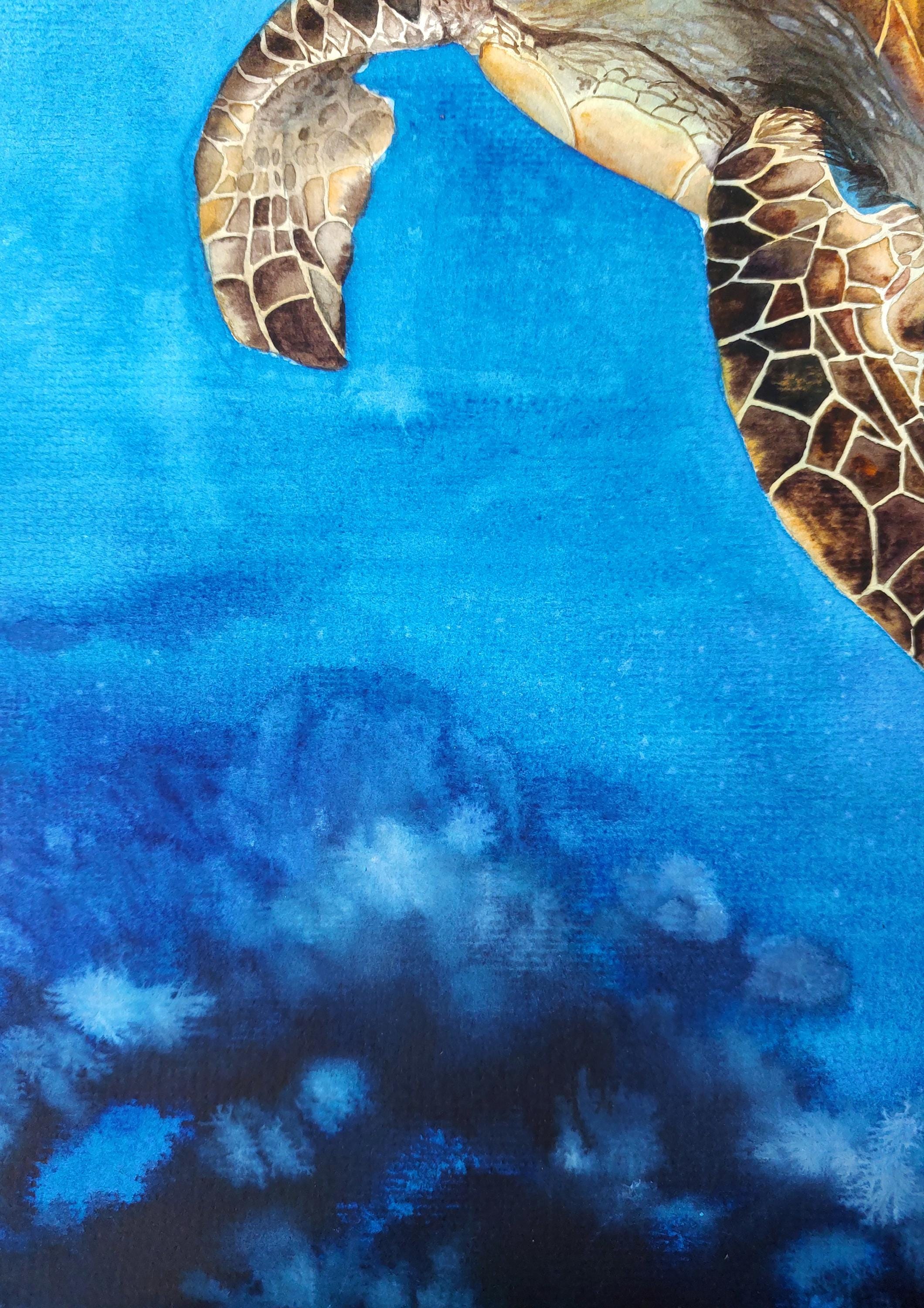 オリジナル水彩画、ウミガメの絵画、ウミガメの壁アート、海の動物の