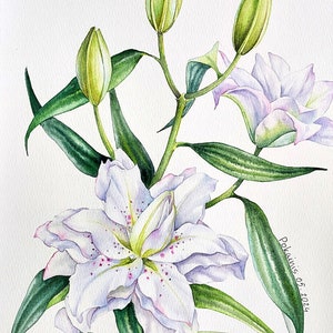Dipinto originale ad acquerello di giglio, dipinto di natura morta floreale, arte murale di giglio, opera d'arte botanica originale di giglio, quadro di fiore bianco