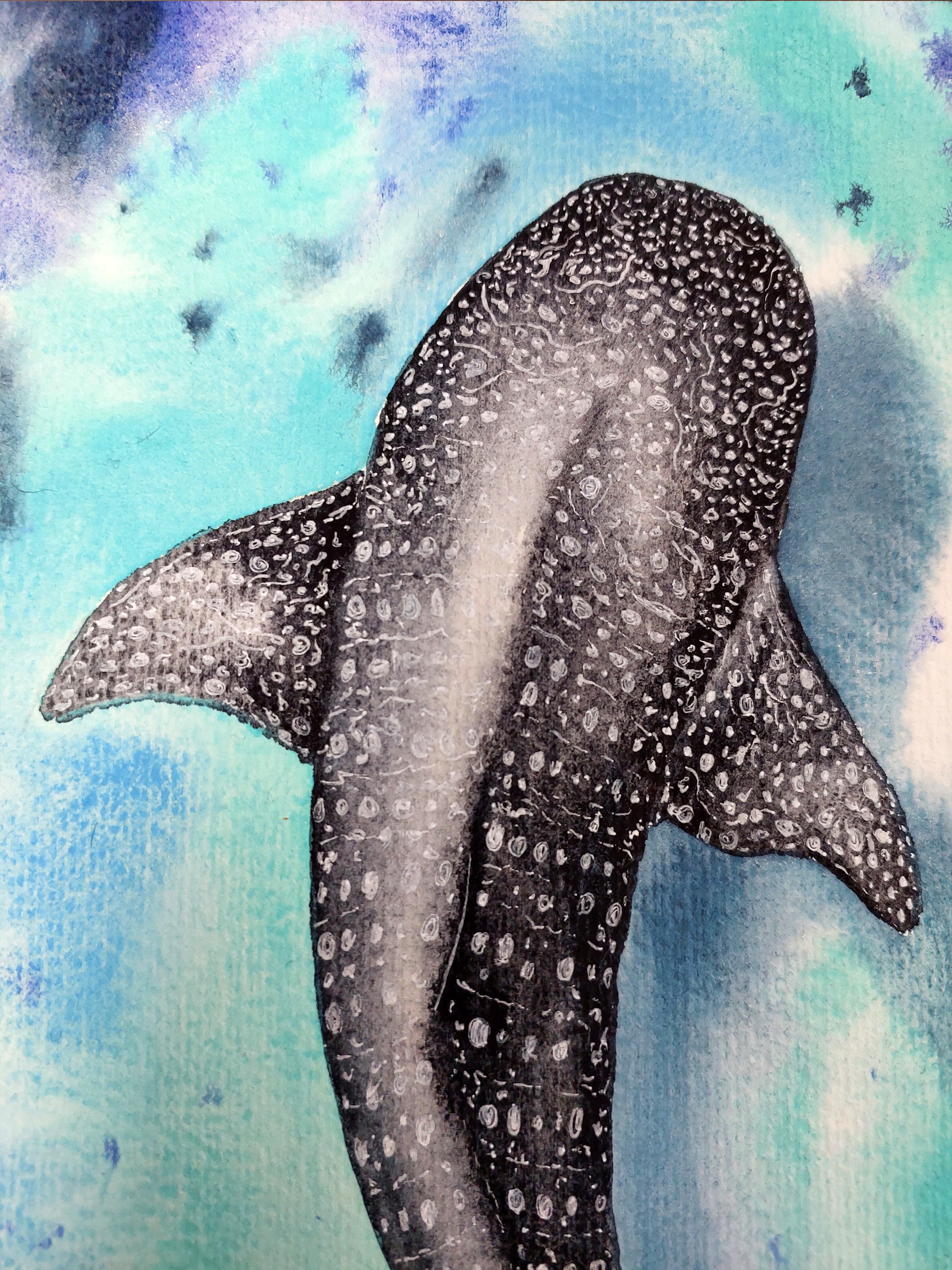 whale-shark-original-watercolor-painting-underwater-painting-dark