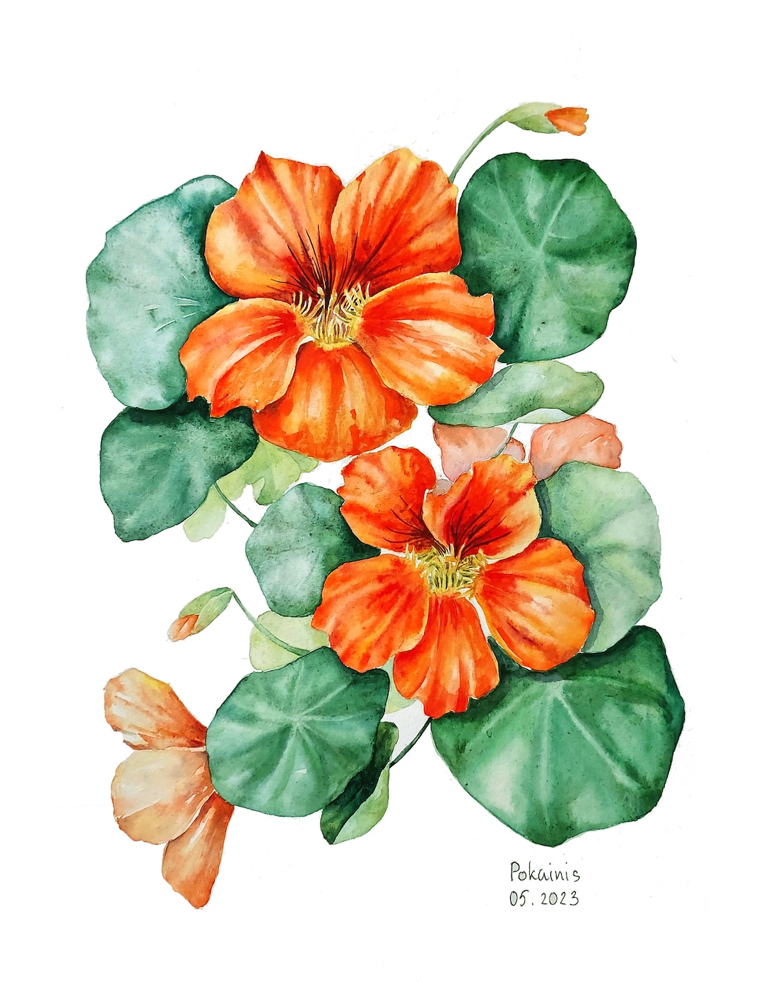 ORIGINAL Watercolor Painting, Floral Wall Art, Botanical Wall Art