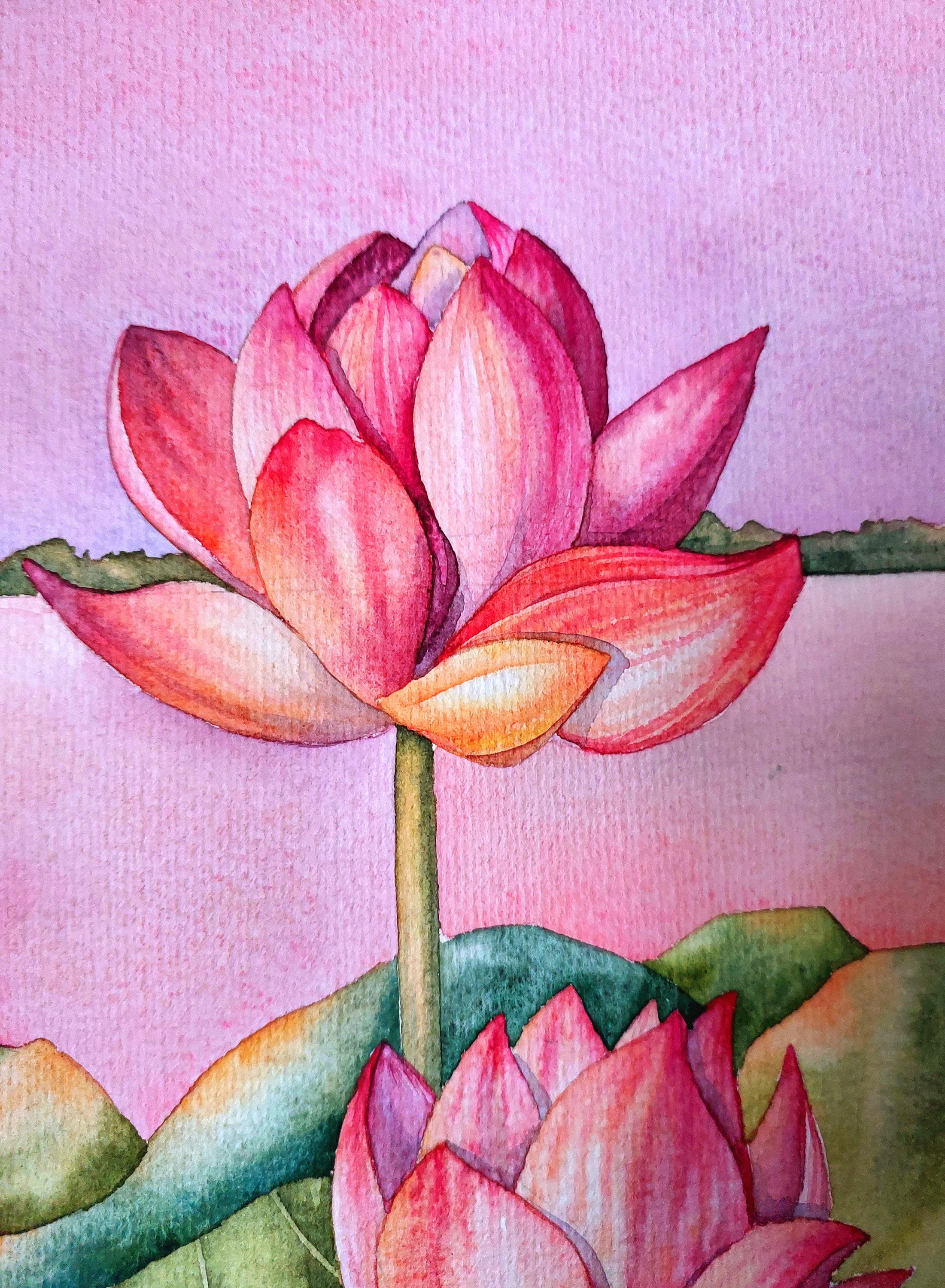 オリジナルの蓮の水彩画、植物画の壁掛けアート - Etsy 日本
