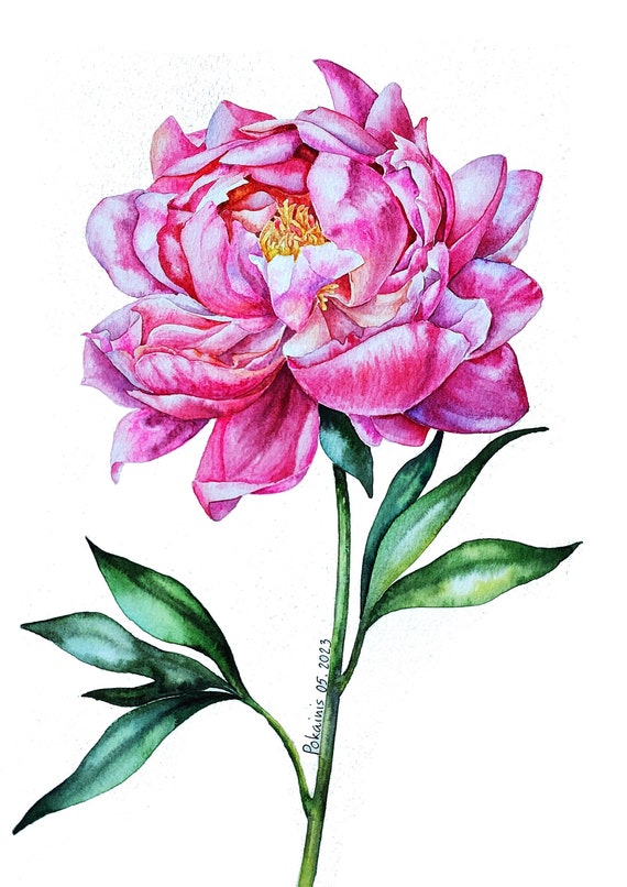 水彩画 花