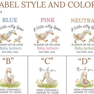 Puede incluir: Una hoja con dise&ntilde;os de etiquetas para baby shower. Las etiquetas presentan ilustraciones de gansos con el texto "A little silly Goose" y "Thank you". Las etiquetas son de color azul, rosa y neutro.