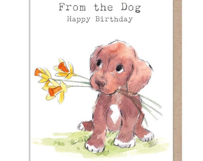 From the dog Birthday Card - Charming Dog illustration - 'Absolutely barking' range - Chocolate Puppy - Made in UK -  ABE094