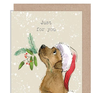 Carteira de dinheiro/cartão de Natal - Cartão de felicitações de qualidade para colocar dinheiro ou vale-presente dentro - Só para você - Brown Puppy - XMW01