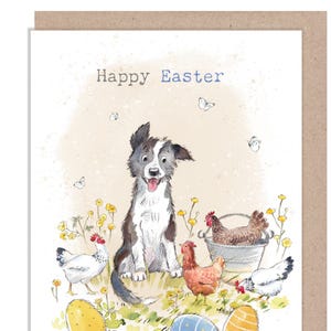 Cartão de Páscoa - Cartão de felicitações de qualidade - Ilustração encantadora - Linha 'Buttercup Farm' - Collie Dog e galinhas - Feito no Reino Unido - BFEASTER03