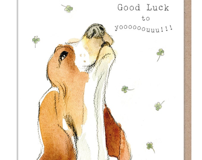 Good Luck Card - Basset hound Illustration - absolutely barking range - ABE087