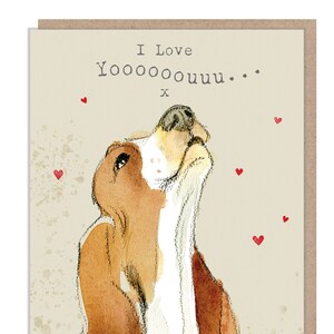 Karta walentynkowa - Wysokiej jakości karta okolicznościowa - Urocza ilustracja - seria „Absolutely barking” - Basset Hound - Wyprodukowano w Wielkiej Brytanii - ABE013