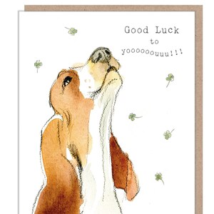 Good Luck Karte - Basset Hound Illustration - Absolutely belling range - ABE087