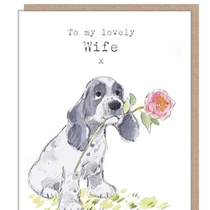 Tarjeta de aniversario para esposa: linda ilustración de un cocker spaniel. Gama Absolutely Barking. ABE090
