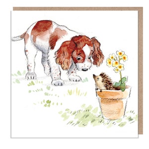 空白カード - 高品質のグリーティング カード - 魅力的な犬のイラスト - 「絶対に吠える」シリーズ - スプリンガー スパニエル - 英国製 - ABE036